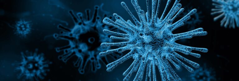 virus 4030721 1920 Anasayfa
